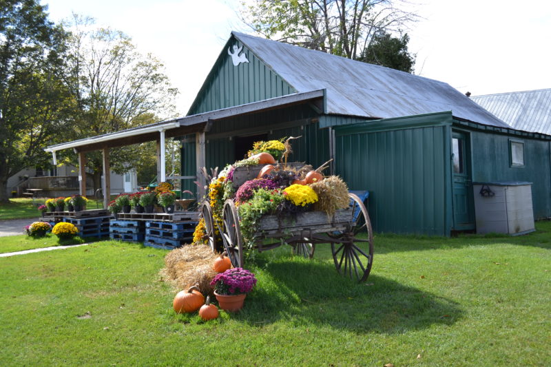 Miller's Farm Ottawa