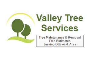 Barrhaven Tree Removal - Valley Tree Services