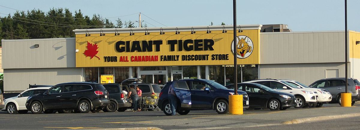 Barrhaven wants Giant Tiger